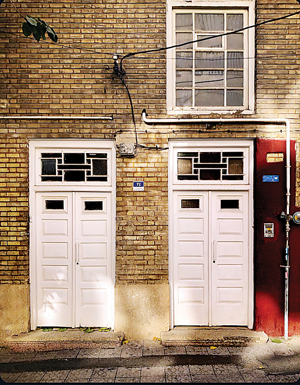 دوقلوهای پلاک۲۴