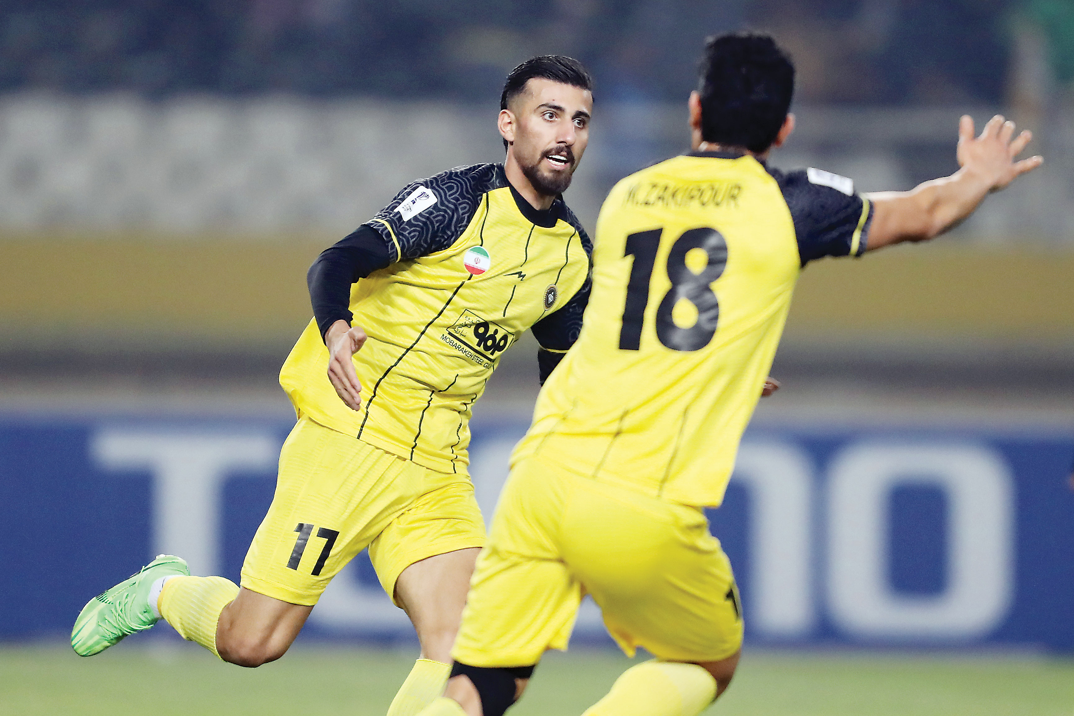 گل زلاتانی زدم