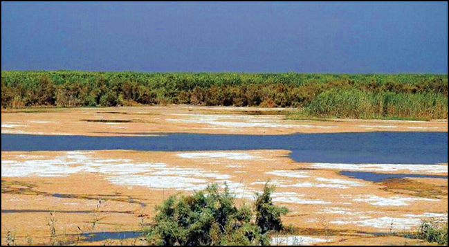 تأکید محیط‌زیست و وزارت نیرو بر احیای تالاب‌‌ها