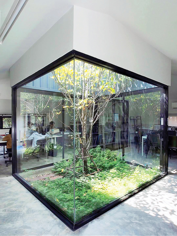 ریشه در خانه