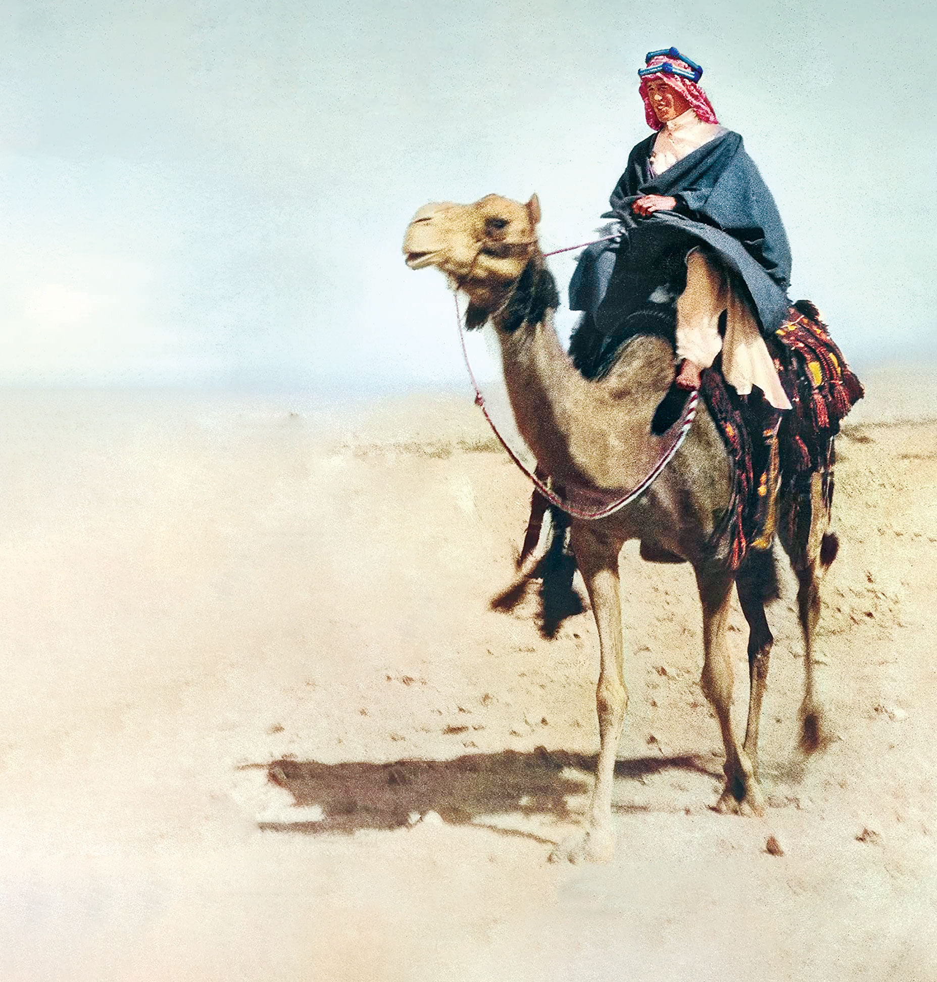 لارنس عربستان