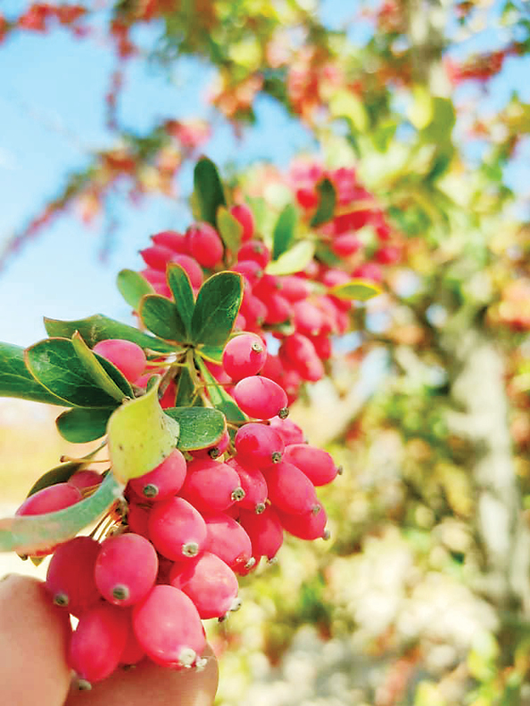 چون با همیم، قوی هستیم