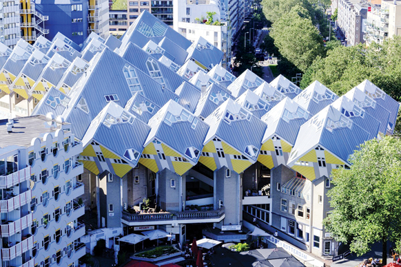 جنگلی از مکعب‌های معلق