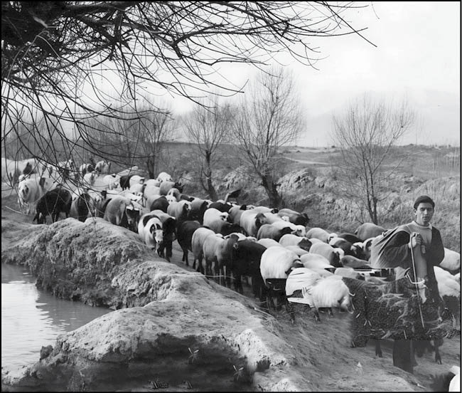 بلوار کشاورز، ۱۰۰ سال پیش