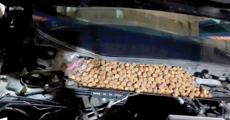 موتور فندقی