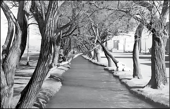 بلوار کشاورز، ۱۰۰ سال پیش