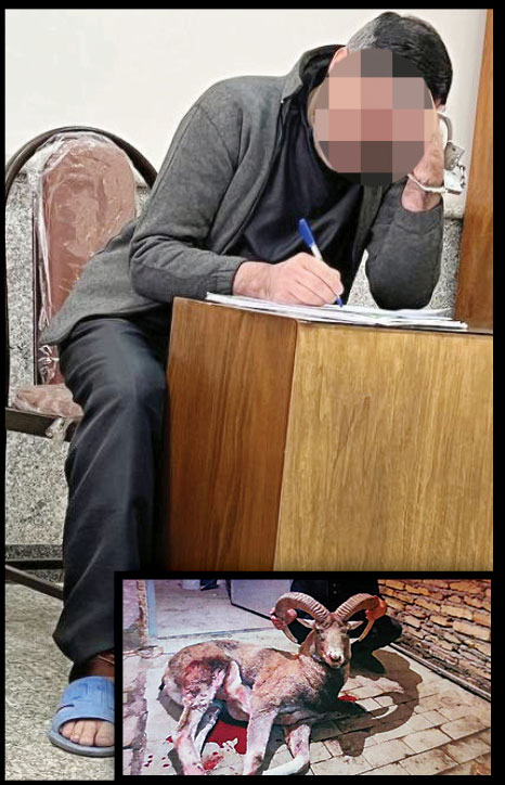 3سال حبس برای شکارچی بلاگر