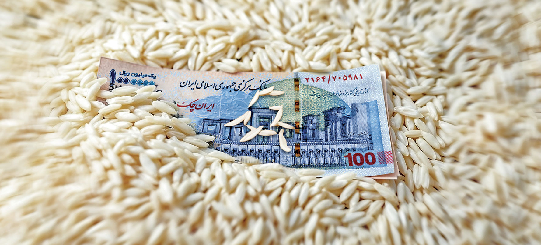 برنج ته کشید