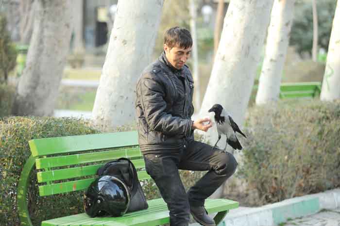 عکس خبر