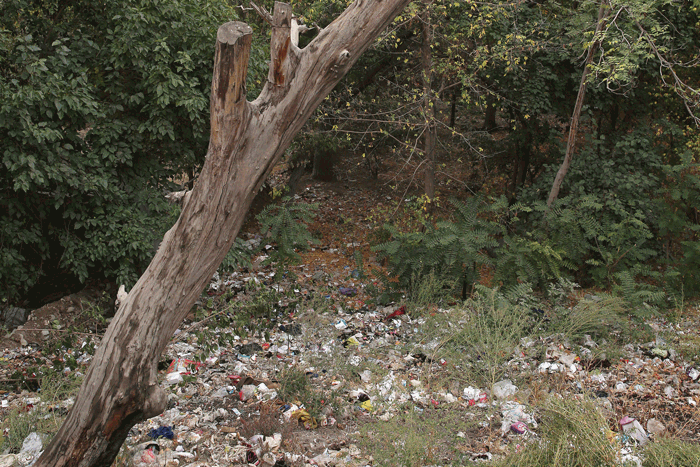 اهالی فرحزاد از خشکیدن درختان کهنسال محله در اثر کم‌آبی می‌گویند
