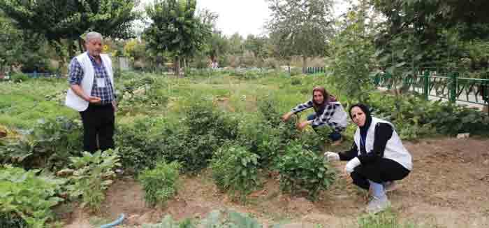 خانواده‌های دوستدار محیط‌زیست در منطقه ۱۴ رسیدگی به بوستان محله را به عهده گرفته‌اند
