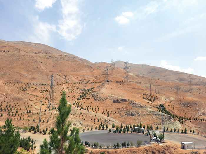 ساخت بوستان ۶۰۰ هکتاری در غرب تهران با مشارکت شهرداری و منابع طبیعی